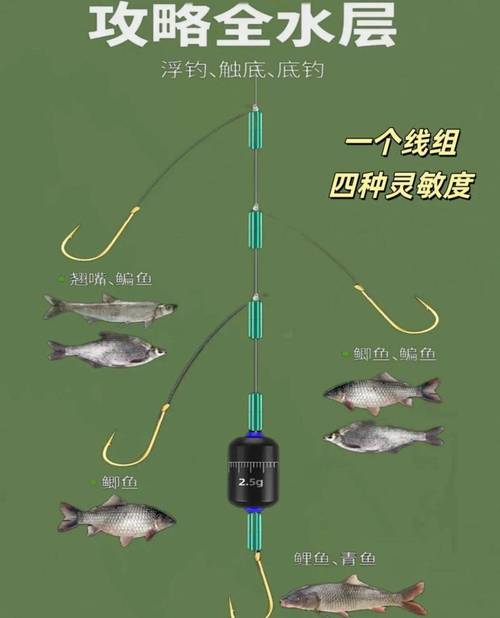 野釣鯽魚用多大線組好_水庫釣鯉魚主線子線魚鉤選擇_水庫釣鯽魚主線子線魚鉤選擇