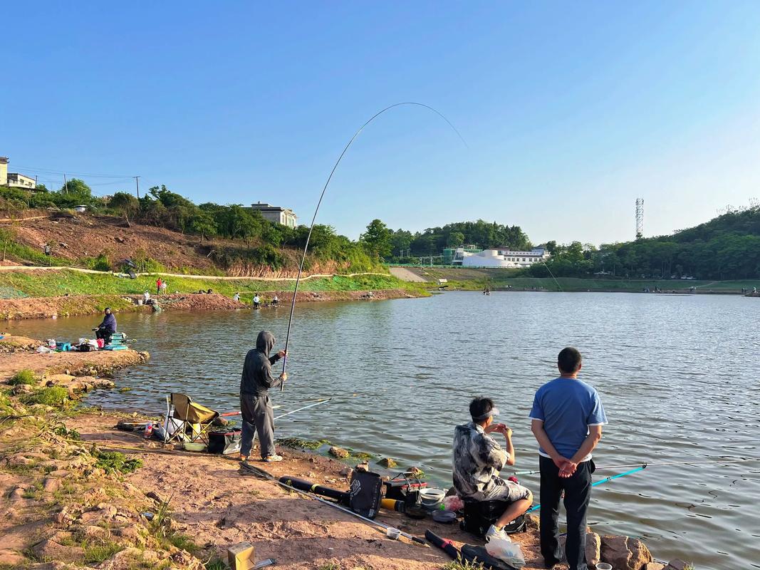 社旗釣魚點_社旗水庫釣點_誰知道社旗有釣魚地方沒