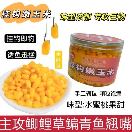 嫩玉米發酵玉米釣法_嫩玉米煮熟釣魚怎么樣_玉米垂釣技巧