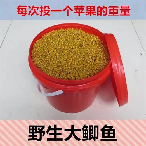 冬釣技巧_通用餌料配方_24種鰱鳙餌料配方大全 釣魚技巧