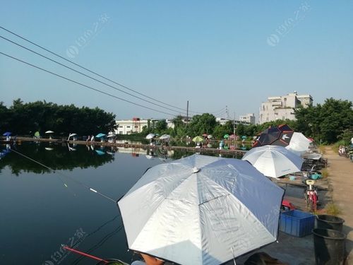 龍崗哪里可以釣魚_深圳龍崗釣魚地點_深圳龍崗區免費釣場大全