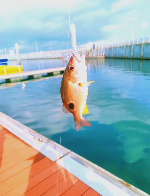 深圳西麗湖釣魚場_深圳龍崗區免費釣場大全_深圳鹽田海景公園釣魚