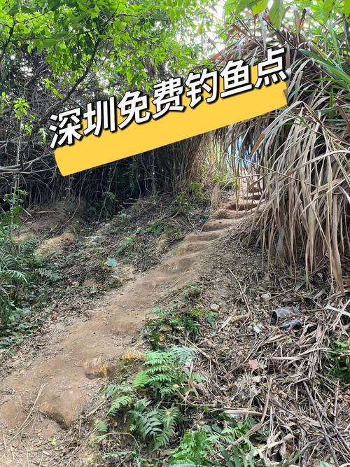 深圳龍崗區免費釣場大全_深圳西麗湖釣魚場_深圳鹽田海景公園釣魚