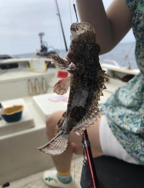深圳海釣點推薦_深圳三門島釣海魚必看_大鵬東漁社區雅園海釣俱樂部魚排釣