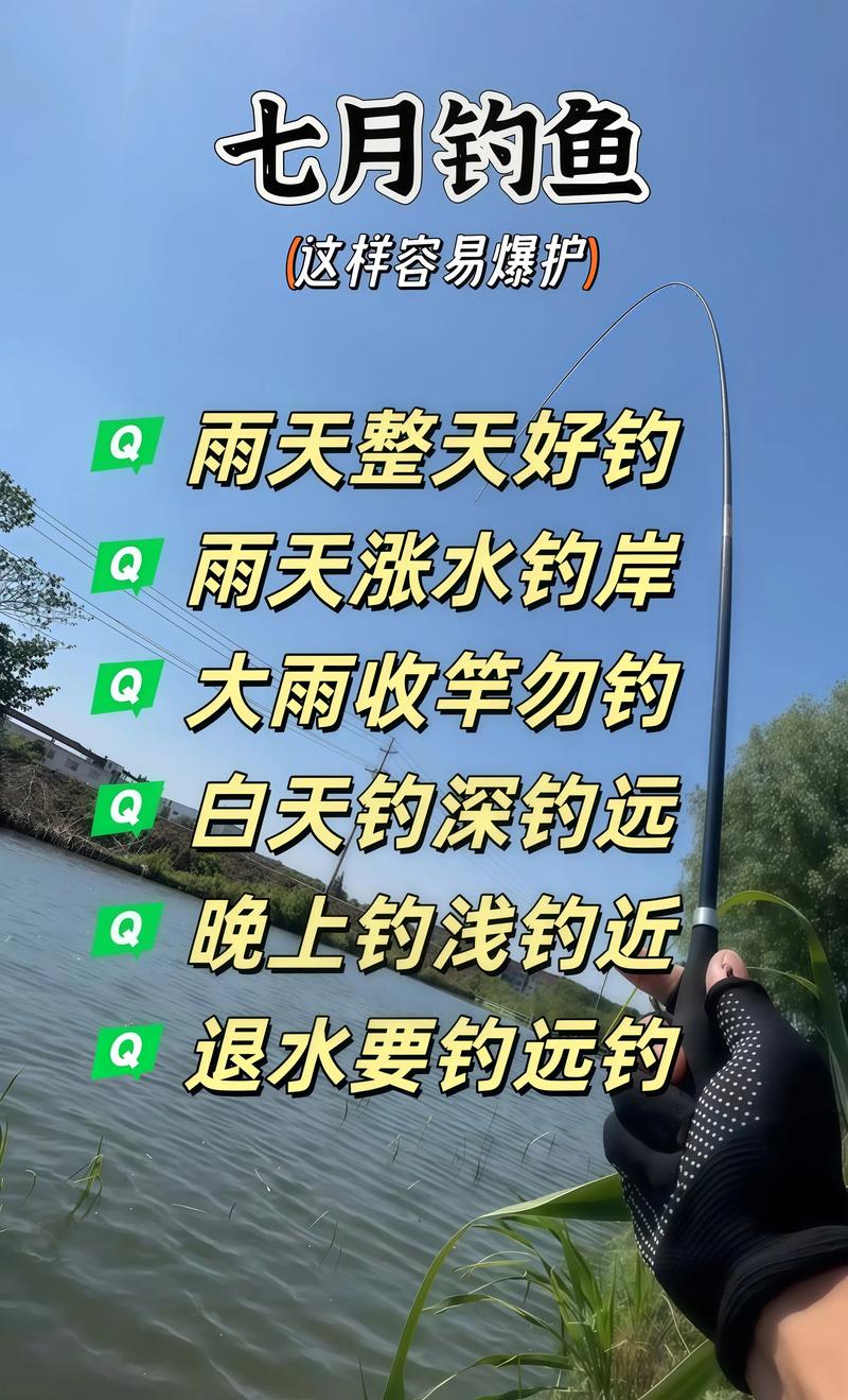 臺釣視頻_臺釣魚視頻大全高清_臺釣視頻教程全集