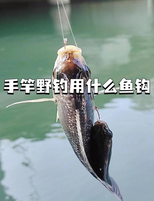 袖鉤特點及適用情況_野釣魚鉤選擇_魚鉤的選擇