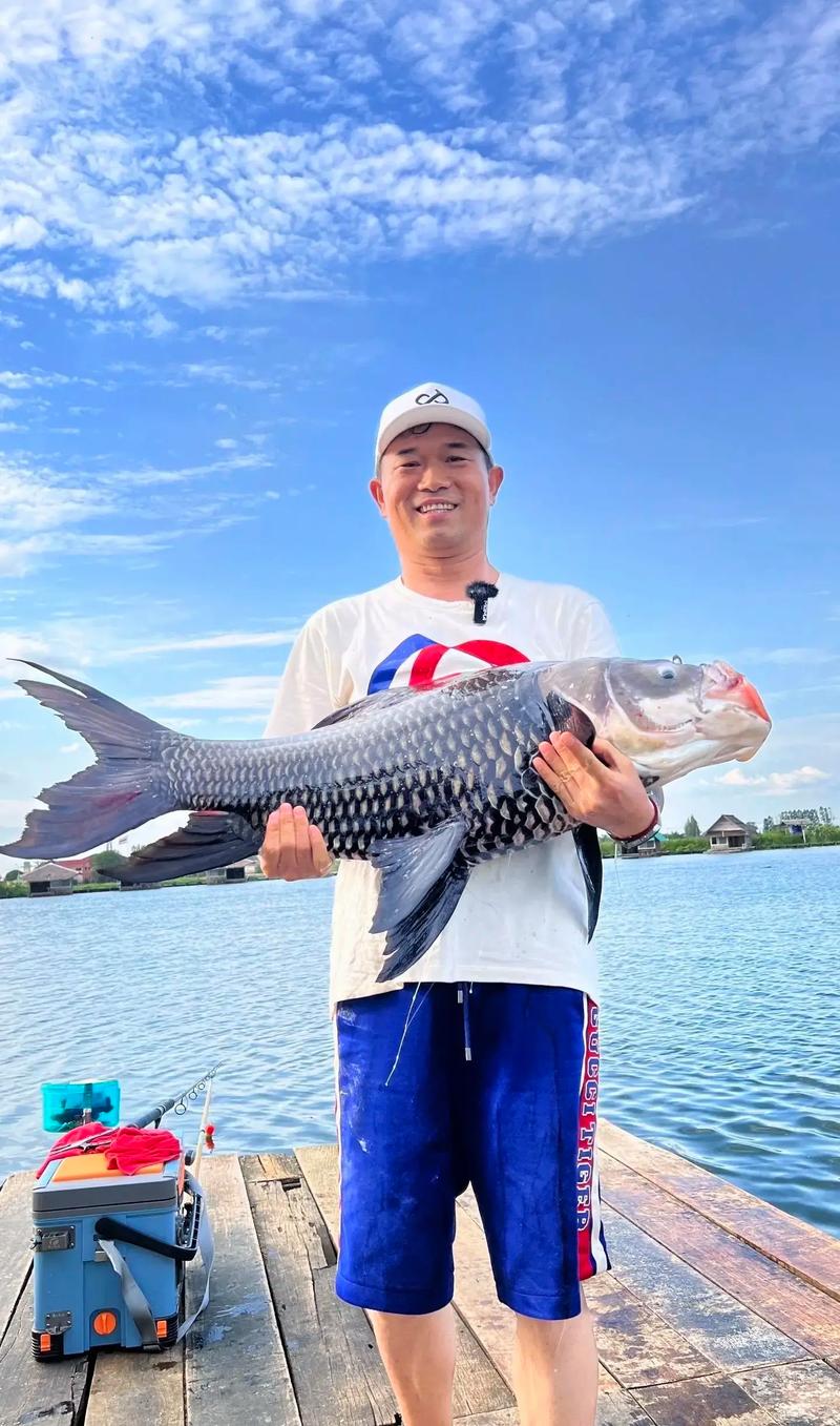 化氏魚餌市場沖擊分析_化紹新應對鄧剛掀桌子行動_化紹新2026釣魚視頻