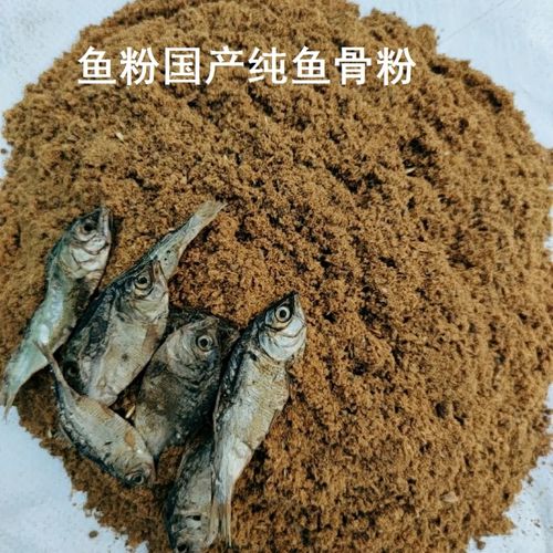 魚骨粉_魚骨粉_魚骨粉
