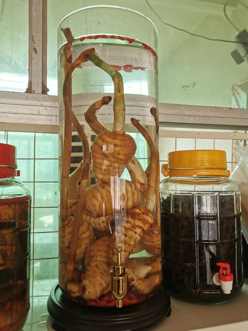 玉米泡酒釣魚制作方法_生玉米粒泡酒可以釣魚嗎?_玉米泡酒釣魚配方