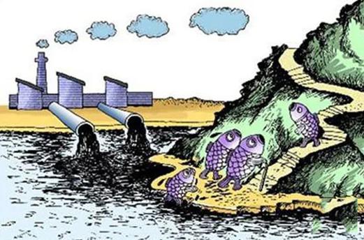 魚和水的對話_魚和水的對白_魚和水的愛情故事