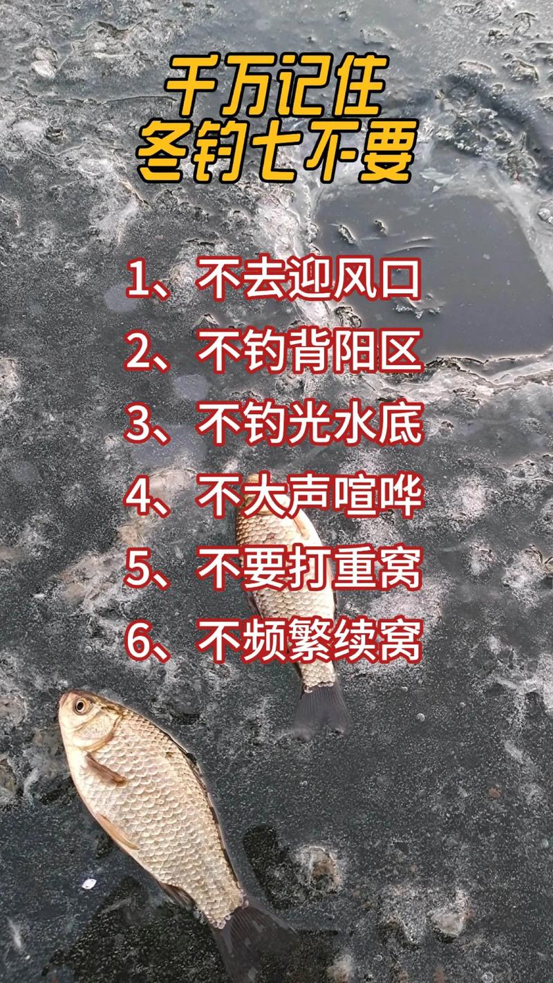 冬季釣魚找位技巧_冬季釣魚技巧?_冬季釣魚禁忌