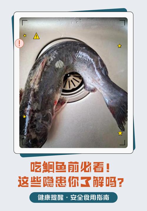 塘鲺是什么_塘鲺是鯰魚嗎_塘鲺是癌細胞最喜歡吃的嗎