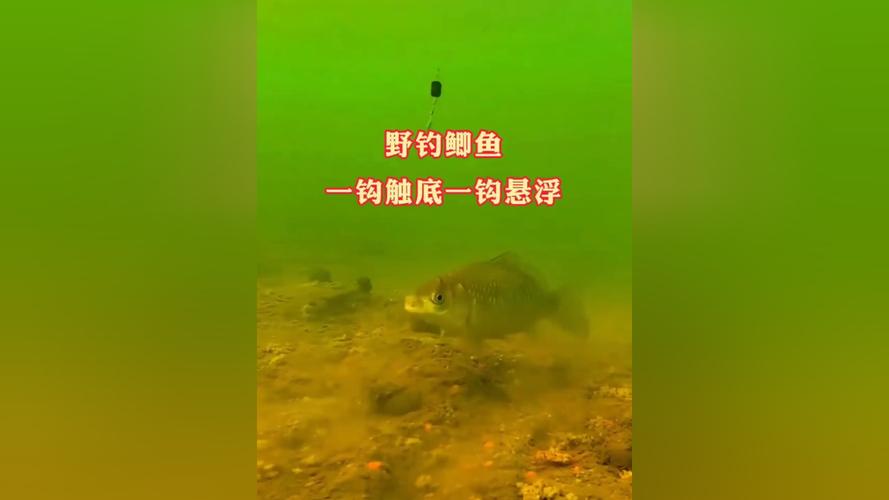 春季釣鯽魚單鉤通線_野釣鯽魚單鉤觸底_野河復雜水底防掛底技巧