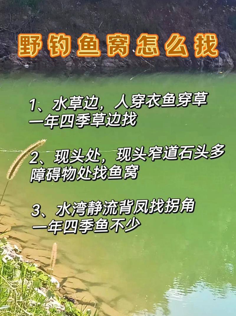 降溫后釣魚技巧_找魚窩方法_調漂 釣魚技巧大全 釣魚技巧全