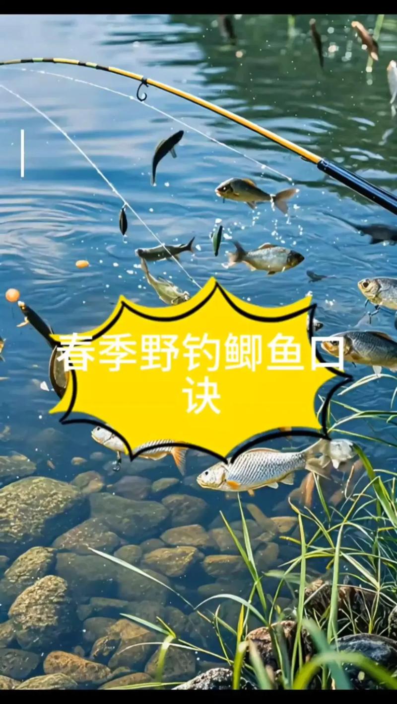 春季魚塘釣魚技巧_夏季釣魚釣位選擇_春季釣魚釣位技巧