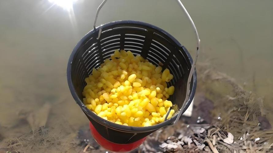 春季魚塘釣魚技巧_春季釣魚釣位技巧_夏季釣魚釣位選擇