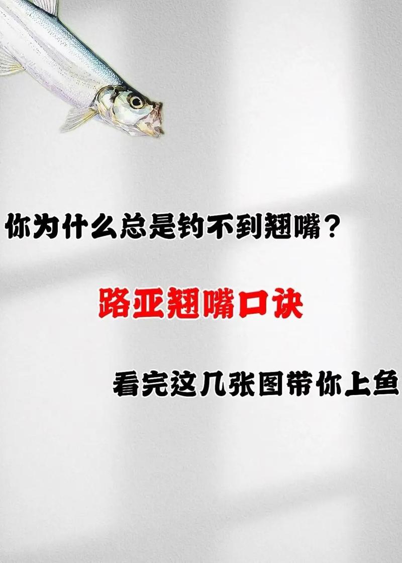 使用亮片擬餌路亞翹嘴魚的操作技巧必看_釣翹嘴餌料用法_翹嘴紅鲌垂釣技巧