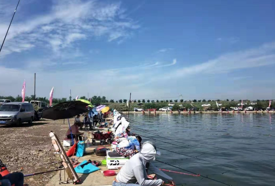 天津釣魚網論壇野釣_天津靜海花園黑坑釣魚攻略_靜海花園黑坑釣點介紹