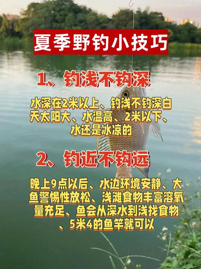 第一次釣魚作文 釣魚經驗分享 釣魚技巧教學_適合釣魚新手的夏季釣魚技巧大全(下)必看
