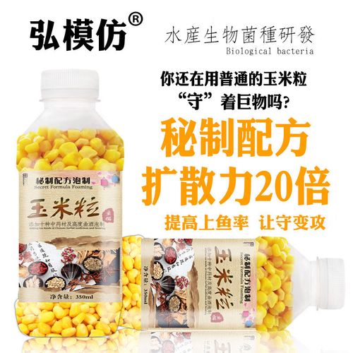 玉米面餌料配方_釣鯉魚玉米面餌料_適合秋季釣草魚的玉米魚餌配方(上)必看