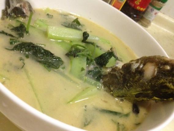 黃顙魚鮮紫蘇湯做法_黃顙魚鮮紫蘇湯功效_黃顙魚的做法