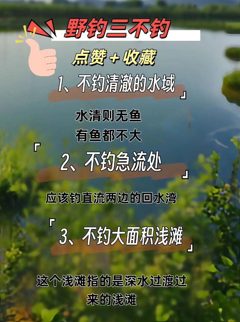 高溫季節釣魚技巧_夏天河里野釣技巧_高溫季釣早晚不釣中午