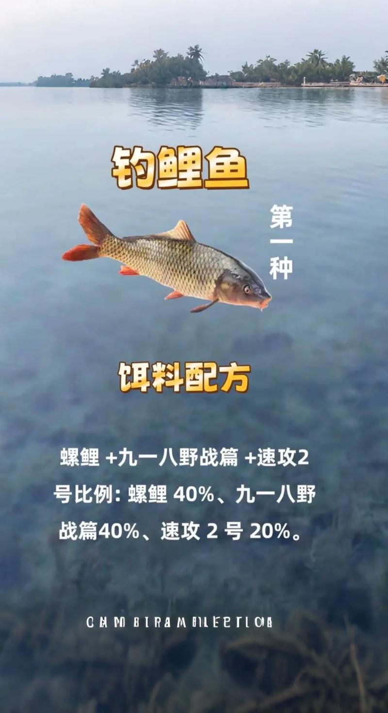 夏季釣鯉魚粘米餌料配方_粘米餌料夏季鯉魚效果_適合夏季釣鯉魚的餌料和窩料配方必看