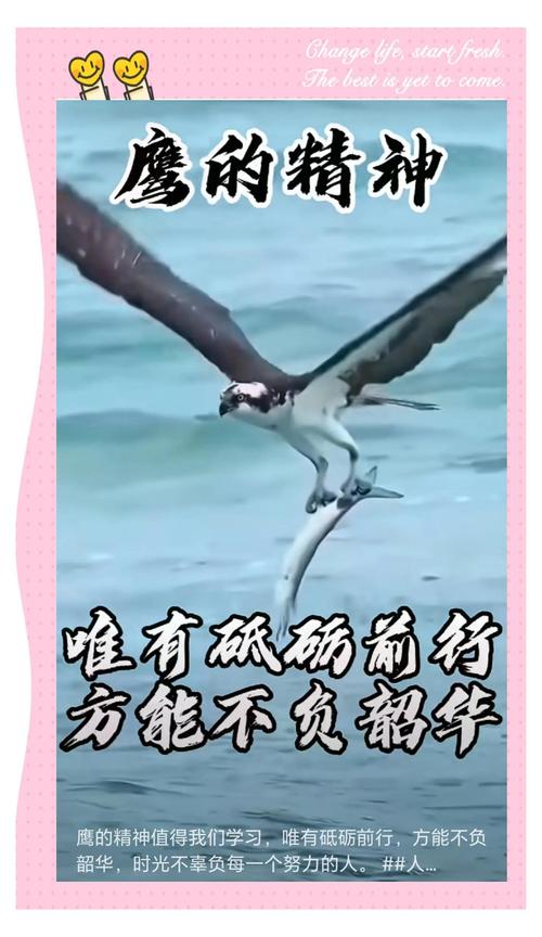 漁人的搏斗ed2k_漁人的搏斗_漁人搏斗紀錄片