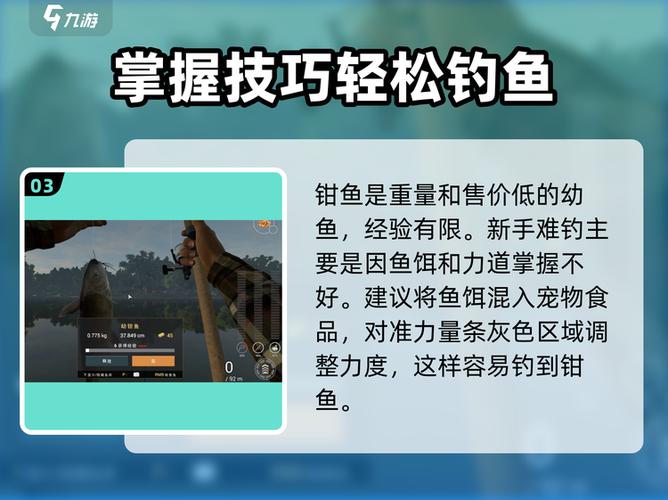 全民釣魚官網禮包領取攻略 新手必看技巧