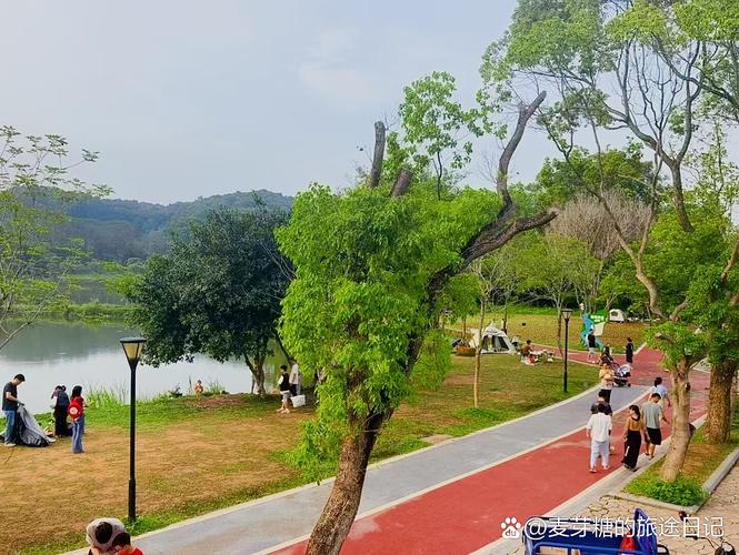 同沙水庫_水庫沙峰_水庫沙灘