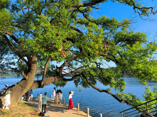 水庫沙峰_同沙水庫_水庫沙灘