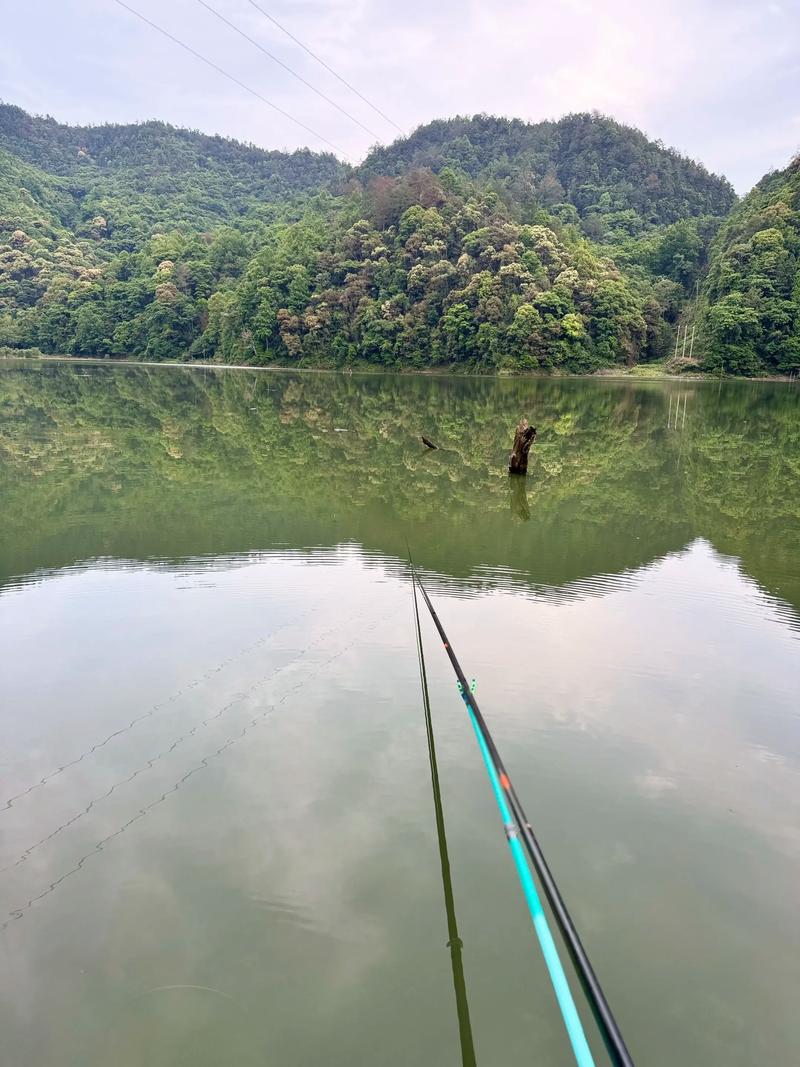 雨天水庫釣魚_水庫釣魚天氣選擇_水庫釣魚_水庫釣魚技巧