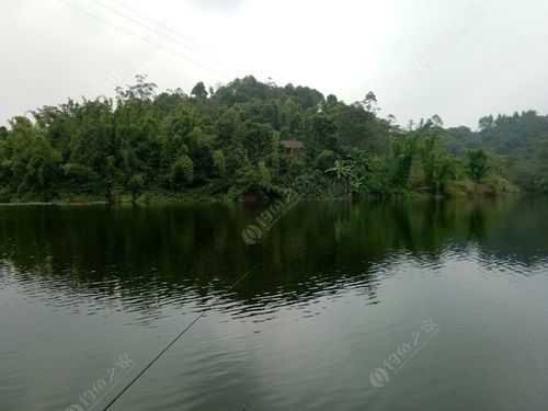 自貢市長江流域禁捕水域垂釣管理辦法_自貢釣場_自貢釣場大全_自貢哪里能釣魚_自貢市禁釣區時間規定