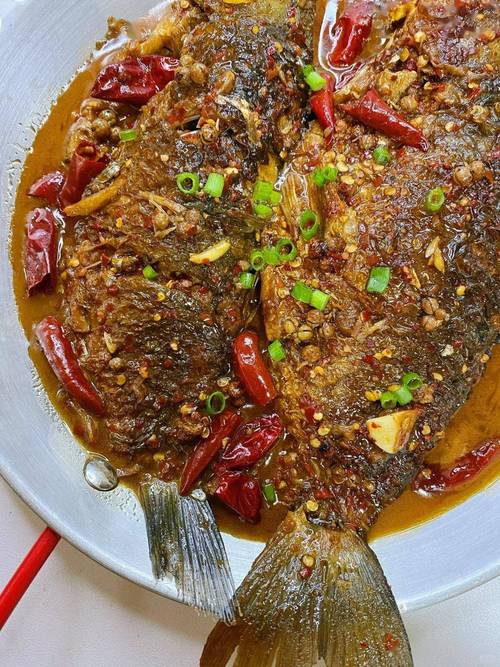 紅燒河鯽魚做法_鯽魚的做法_河鯽魚湯做法