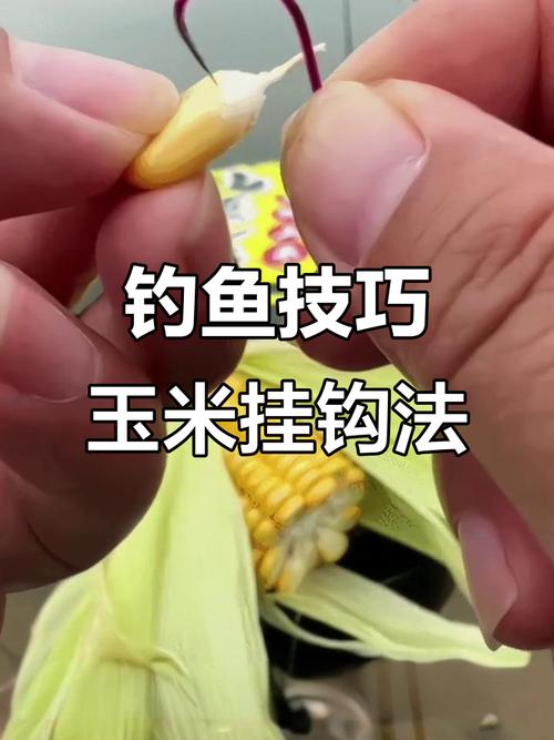 自制餌料釣鯉魚_自制玉米粒釣鯉魚餌料配方_玉米麥粒餌配方