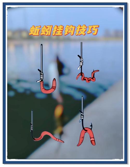 蚯蚓野釣鯽魚技巧_野釣鯽魚蚯蚓技巧_小蚯蚓釣鯽魚餌料配方