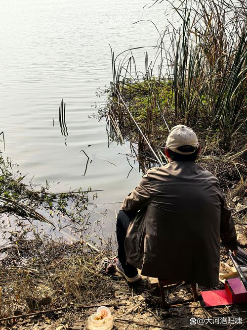 洛河淺灘危險_洛河垂釣安全_洛陽釣魚的地方