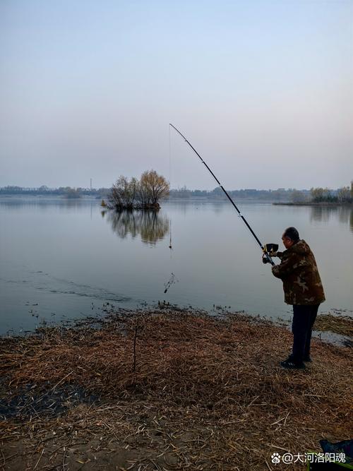 洛河垂釣安全_洛河淺灘危險_洛陽釣魚的地方