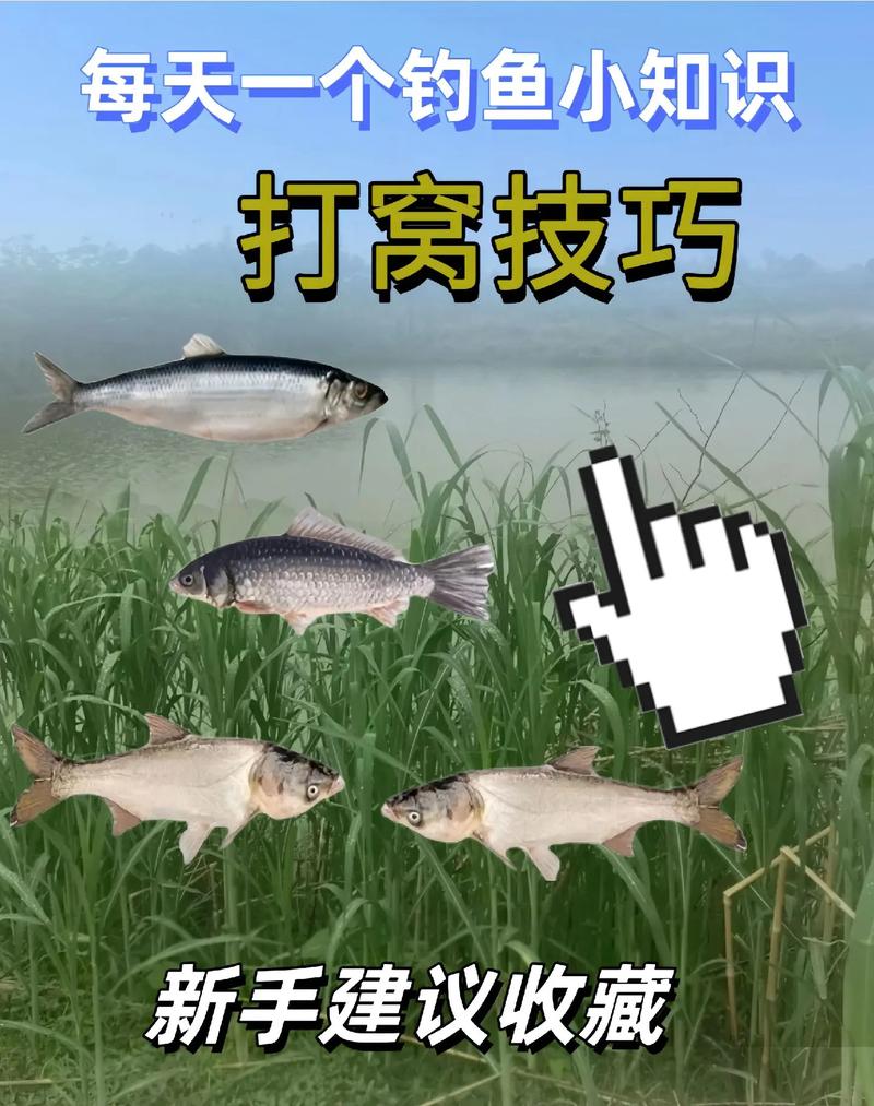 割草割草喂魚釣魚_小河釣魚技巧_釣魚技巧分享