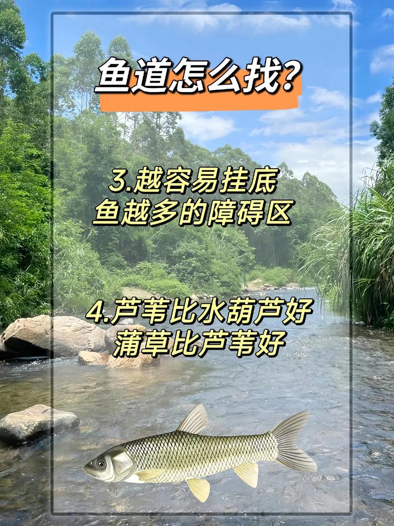 小河釣魚技巧_割草割草喂魚釣魚_釣魚技巧分享