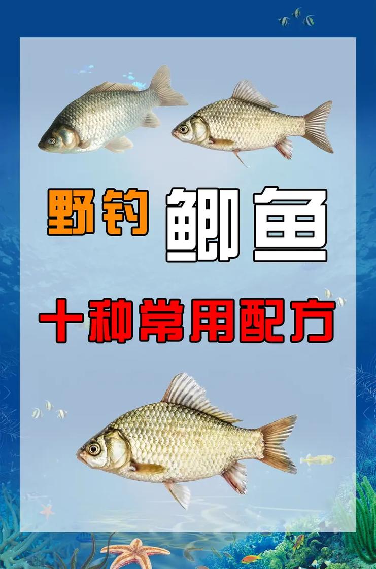 野釣鯽魚爆護秘訣 自制香甜餌料黃金配比