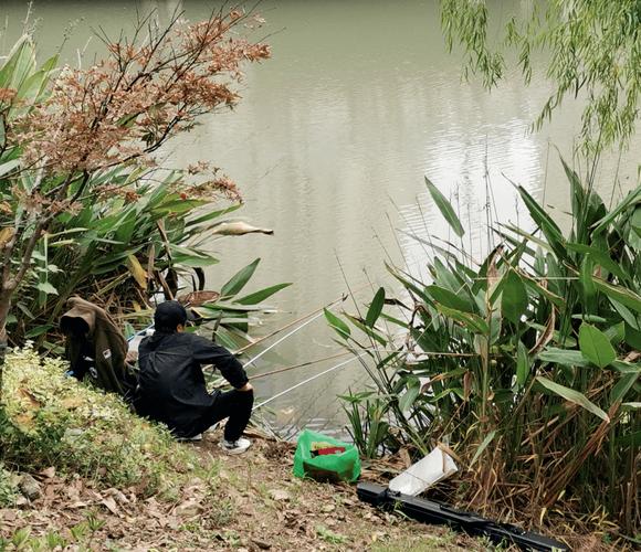 夏季野河釣魚釣點選擇_夏季野河釣魚餌料選擇_野河釣魚用什么餌料