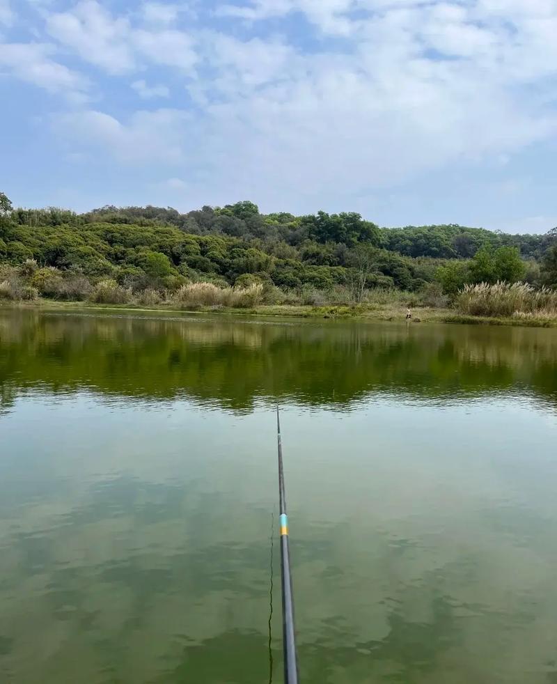 夏季野河釣魚釣點選擇_夏季野河釣魚餌料選擇_野河釣魚用什么餌料
