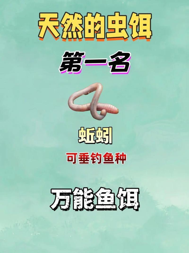 野河釣魚用什么餌料_野河釣魚常用餌料_夏季野河釣魚技巧