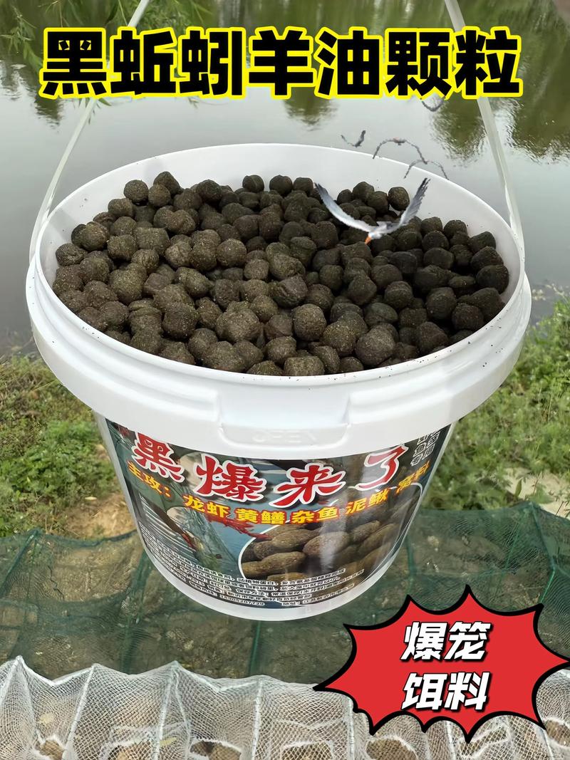 釣魚技巧分享_老釣手不說12個秘密技巧_釣魚視頻野釣實戰看票