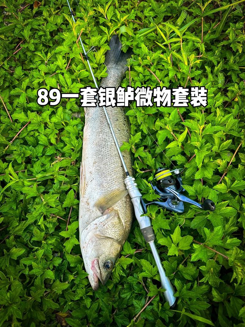 夏季海竿釣魚_夏季海竿釣魚技巧_釣魚夏季海竿推薦