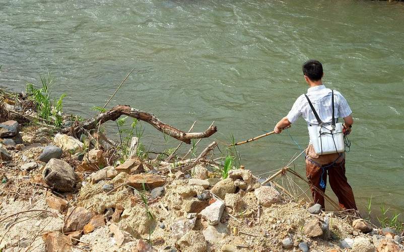 武漢村民瘋狂電魚_識別電魚賊的六大信號_電魚行為舉報方法