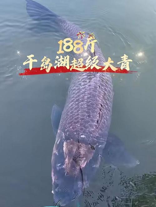 金牛湖青魚王_金牛湖青魚王_揚子晚報金牛湖巨青魚