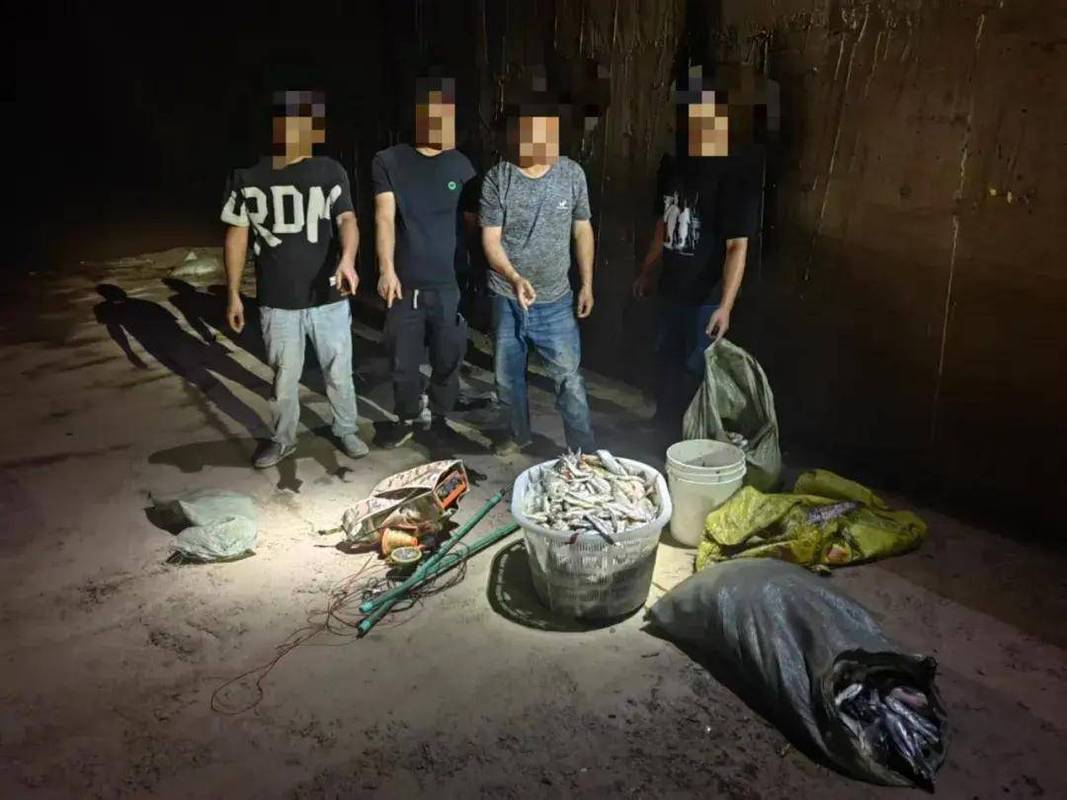 武漢村民瘋狂電魚_長江白滸山水域電魚執法_武漢長江電魚抓捕