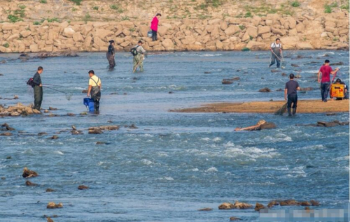武漢村民瘋狂電魚_武漢長江電魚抓捕_長江白滸山水域電魚執法